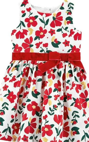 Carter's Holiday Dress - Picture 1 of 5